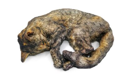 Mimaki 3D Printed Curled-up Tabby Cat Sculpture