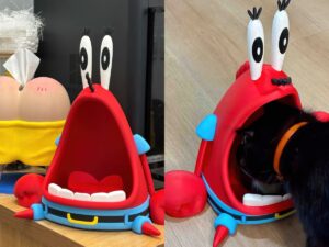 FDM 3D Printed Mr. Krabs Cat Bowl Holder