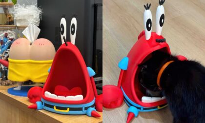 FDM 3D Printed Mr. Krabs Cat Bowl Holder