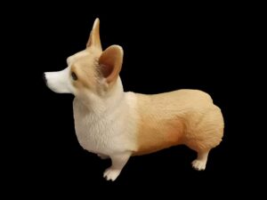 PolyJet 3D Printed Lifelike Corgi Resin Miniatures