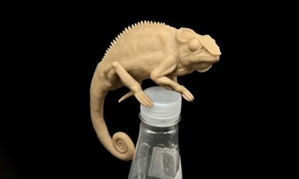 DLP 3D Printed Chameleon Model with Ultra-Detail