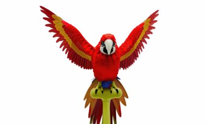 FDM 3D Printed Life-Size Scarlet Macaw