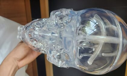 PolyJet 3D Printed Transparent Skull Model