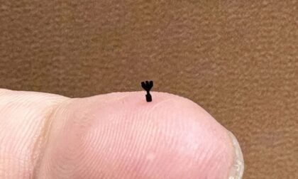 PµSL 3D Printed Micro Gripper in Black Resin